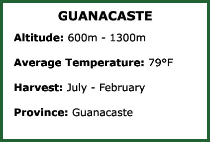 Guanacaste 2