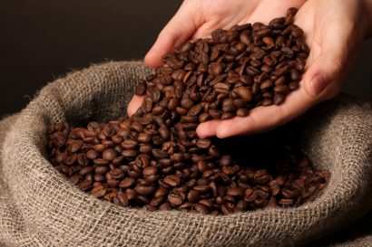 arabica coffee beans in hand