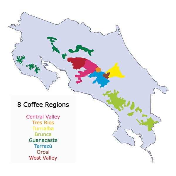 coffee regions 1