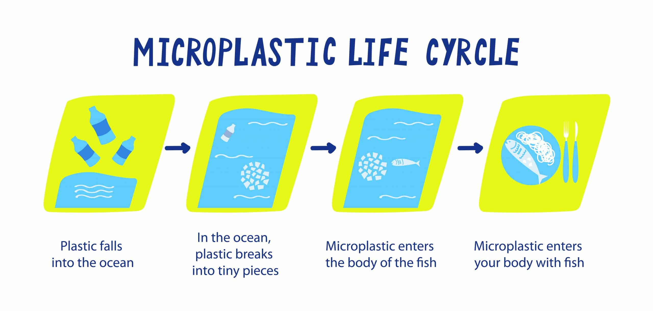 single use plastics