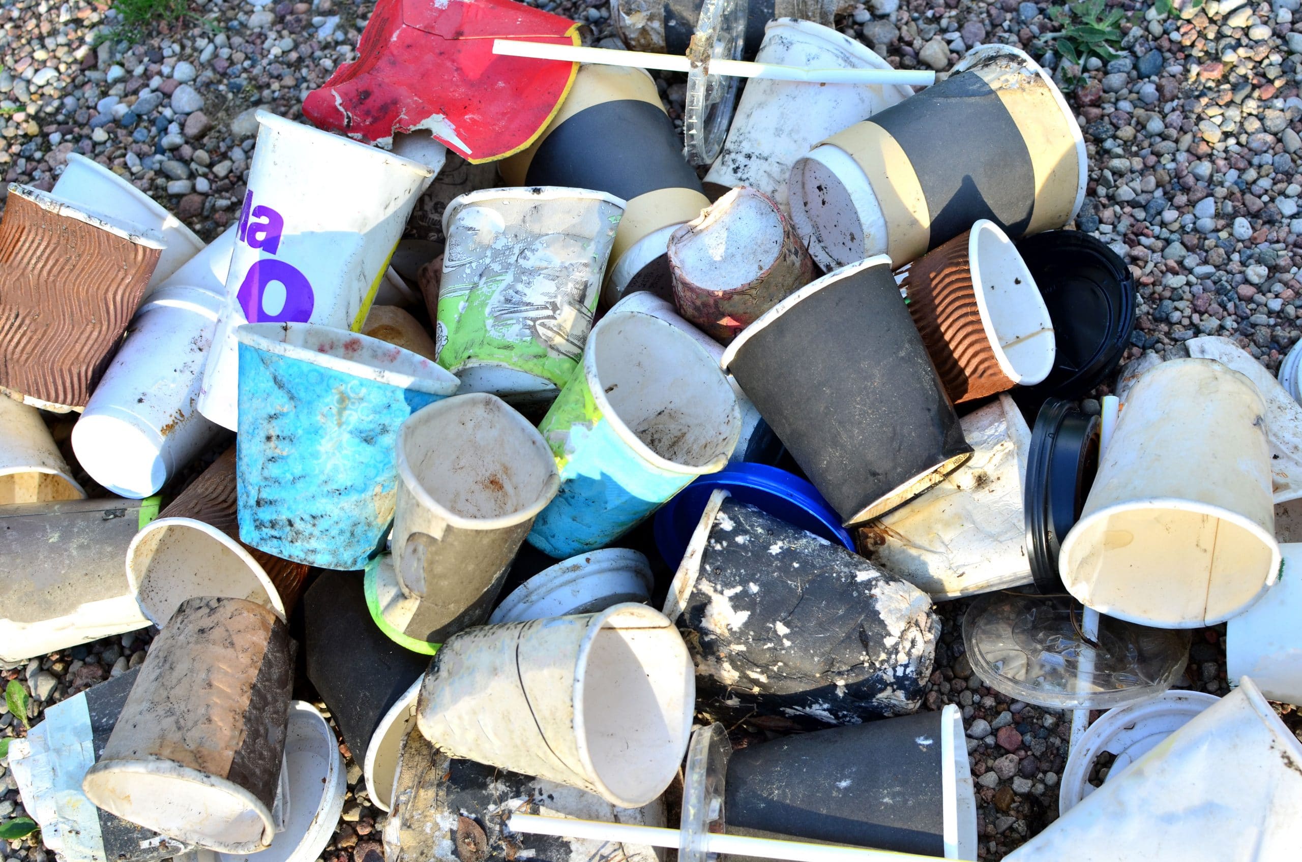 single use plastics